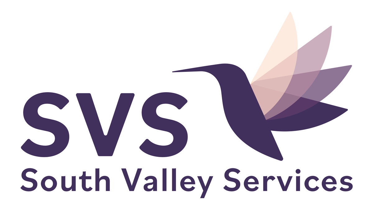 SVS Logo secondary color