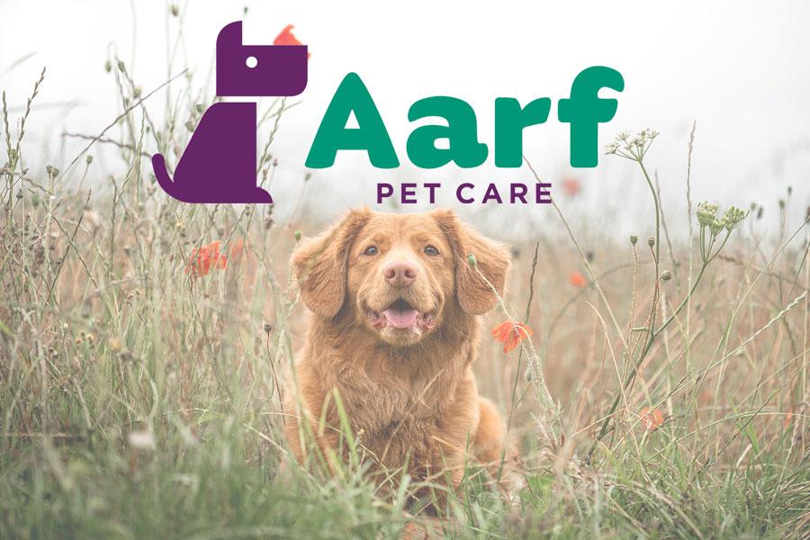 Third Sun | Utah Web + Design + Branding - Animal Caretakers Impact Fund
