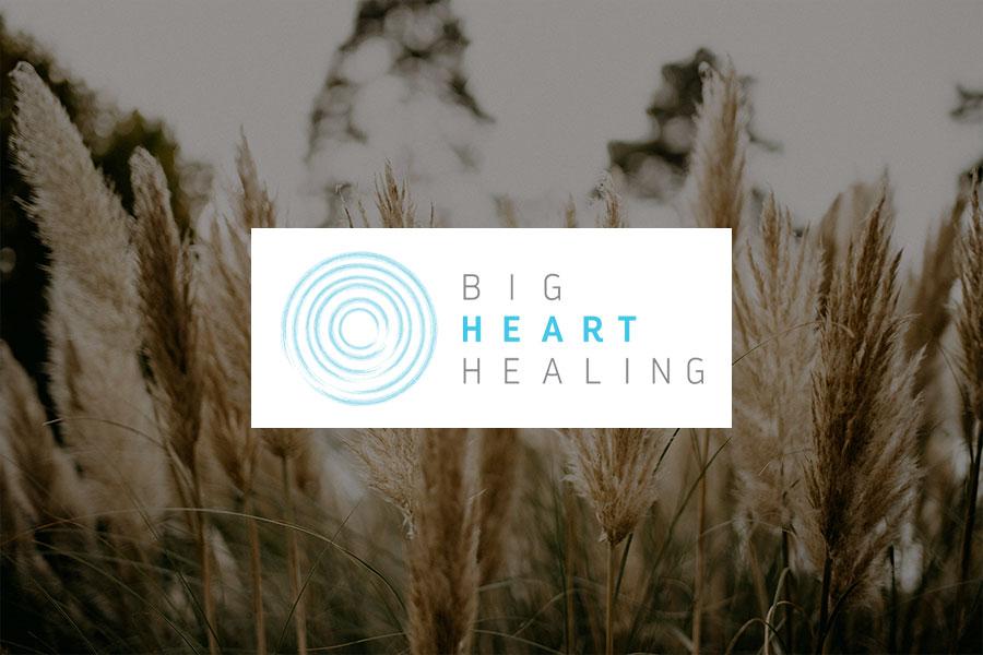 Third Sun | Utah Web + Design + Branding - Animal Caretakers Impact Fund