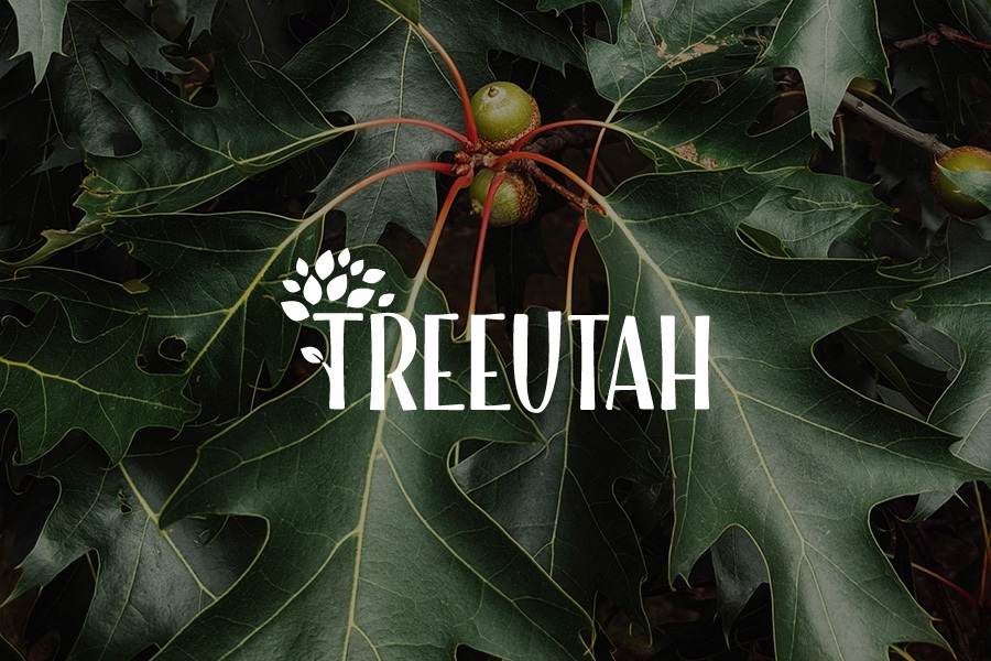 Third Sun | Utah Web + Design + Branding - Utah Geological Association