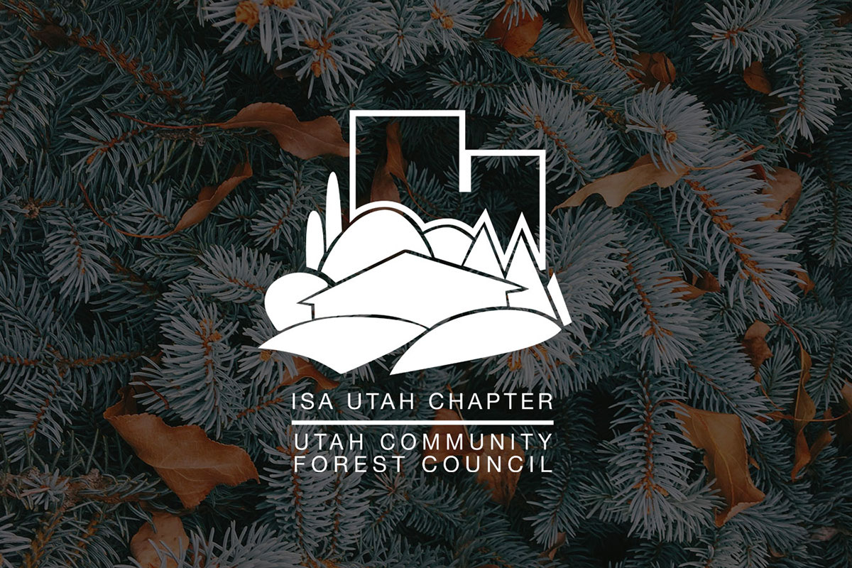 Third Sun | Utah Web + Design + Branding - TreeUtah