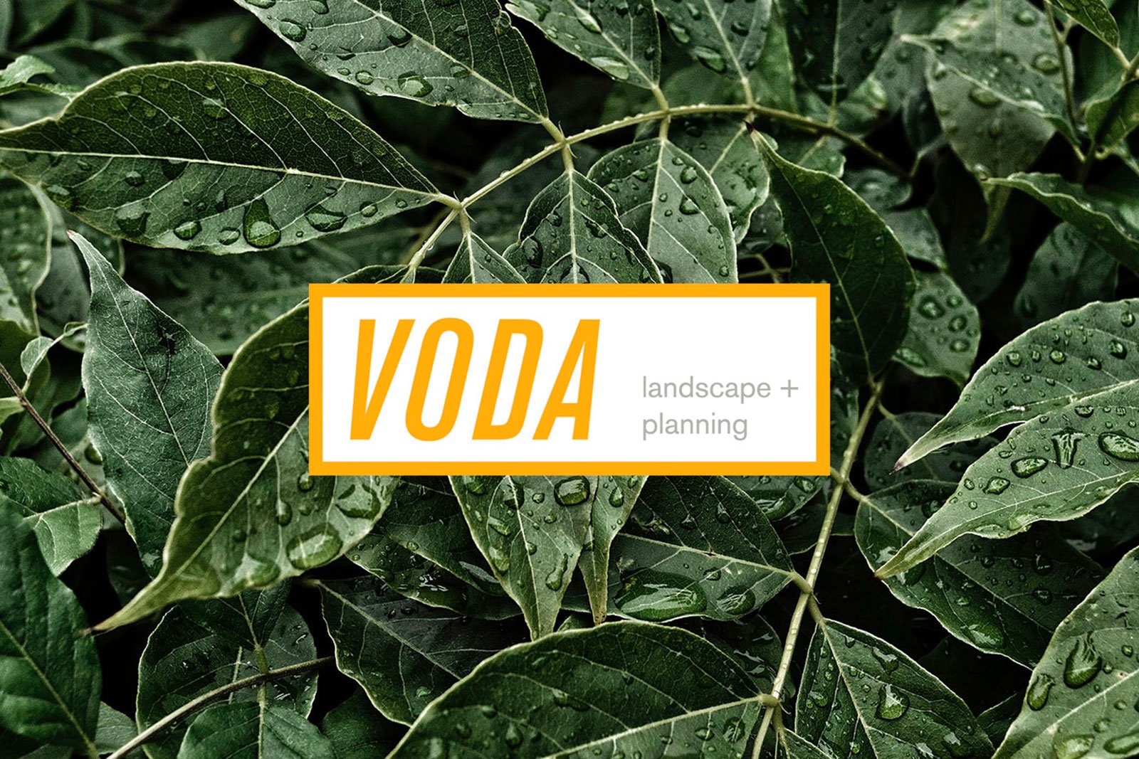 Third Sun | Utah Web + Design + Branding - Meta Designs