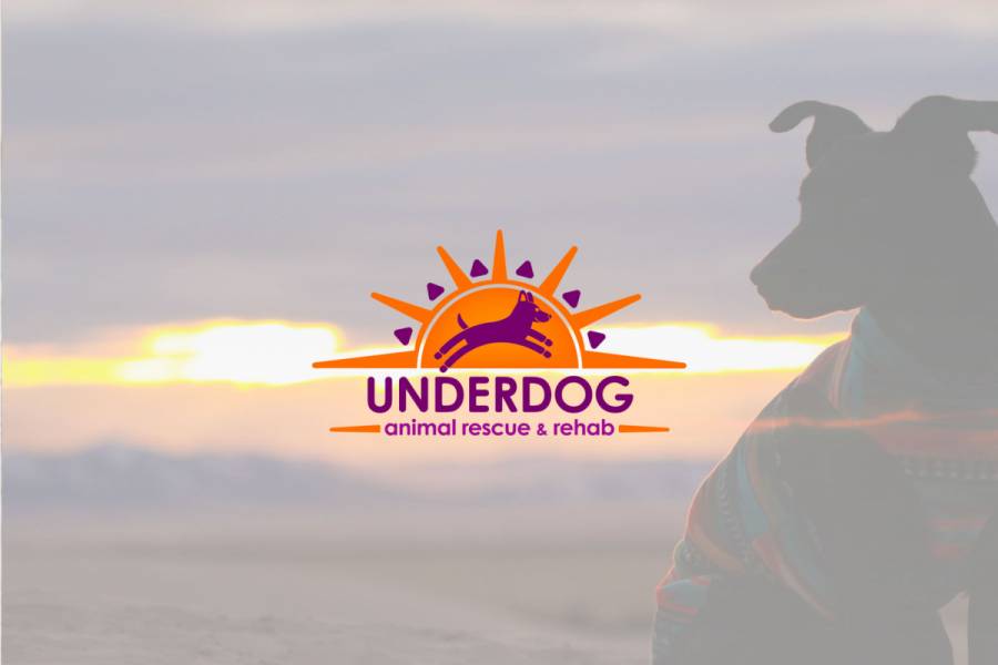 Underdog Animal Rescue and Rehab