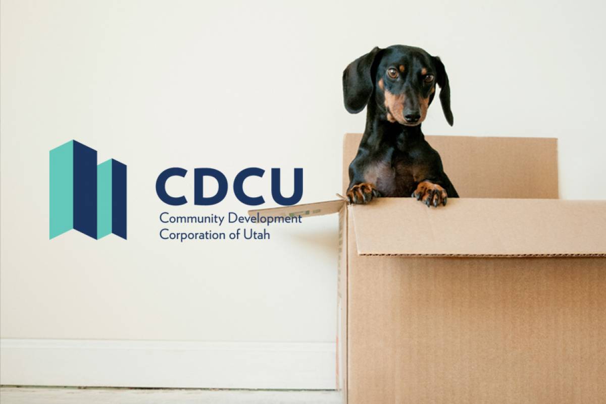 Community Development Corporation