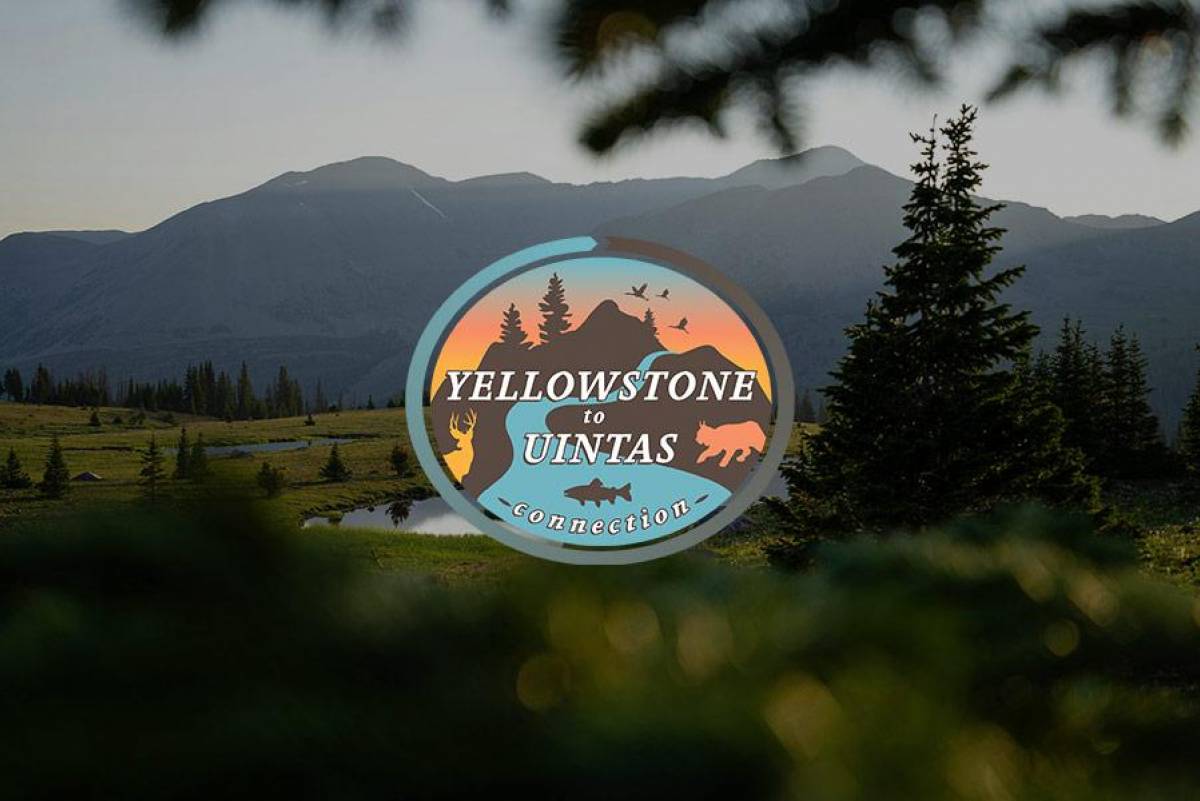 Yellowstone to Uintas Connection