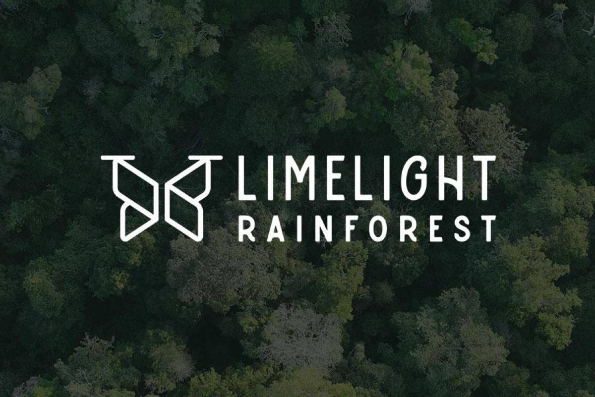 Limelight Rainforest