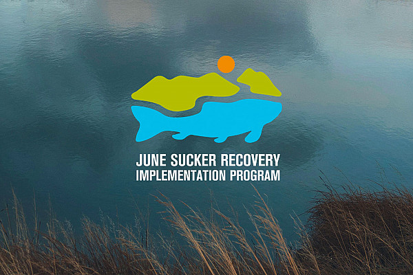 June Sucker Recovery Implementation Program