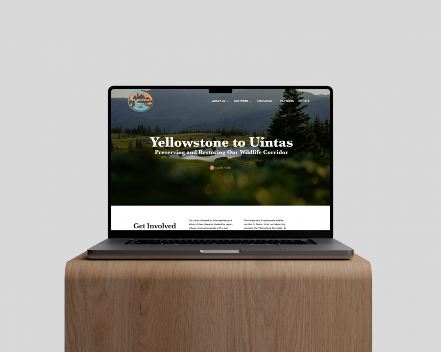 Mockup
